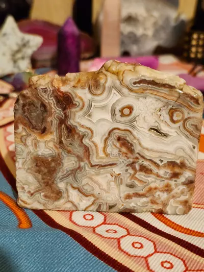 plant/🔮Crazy Lace Agate Mini Slab🔮-0-thumbnail