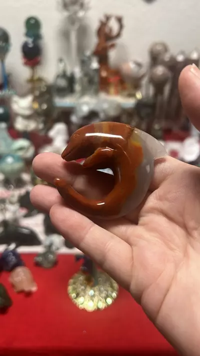 plant/$16| Carnelian Dolphin-1-thumbnail