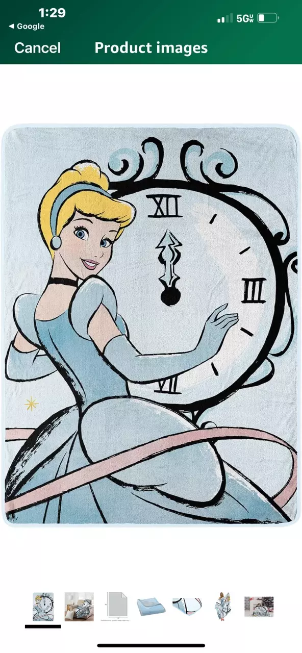 Northwest Cinderella Micro Raschel Throw Blanket, 46" x 60", On Time