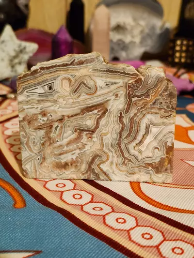 plant/🔮Crazy Lace Agate Mini Slab🔮-1-thumbnail