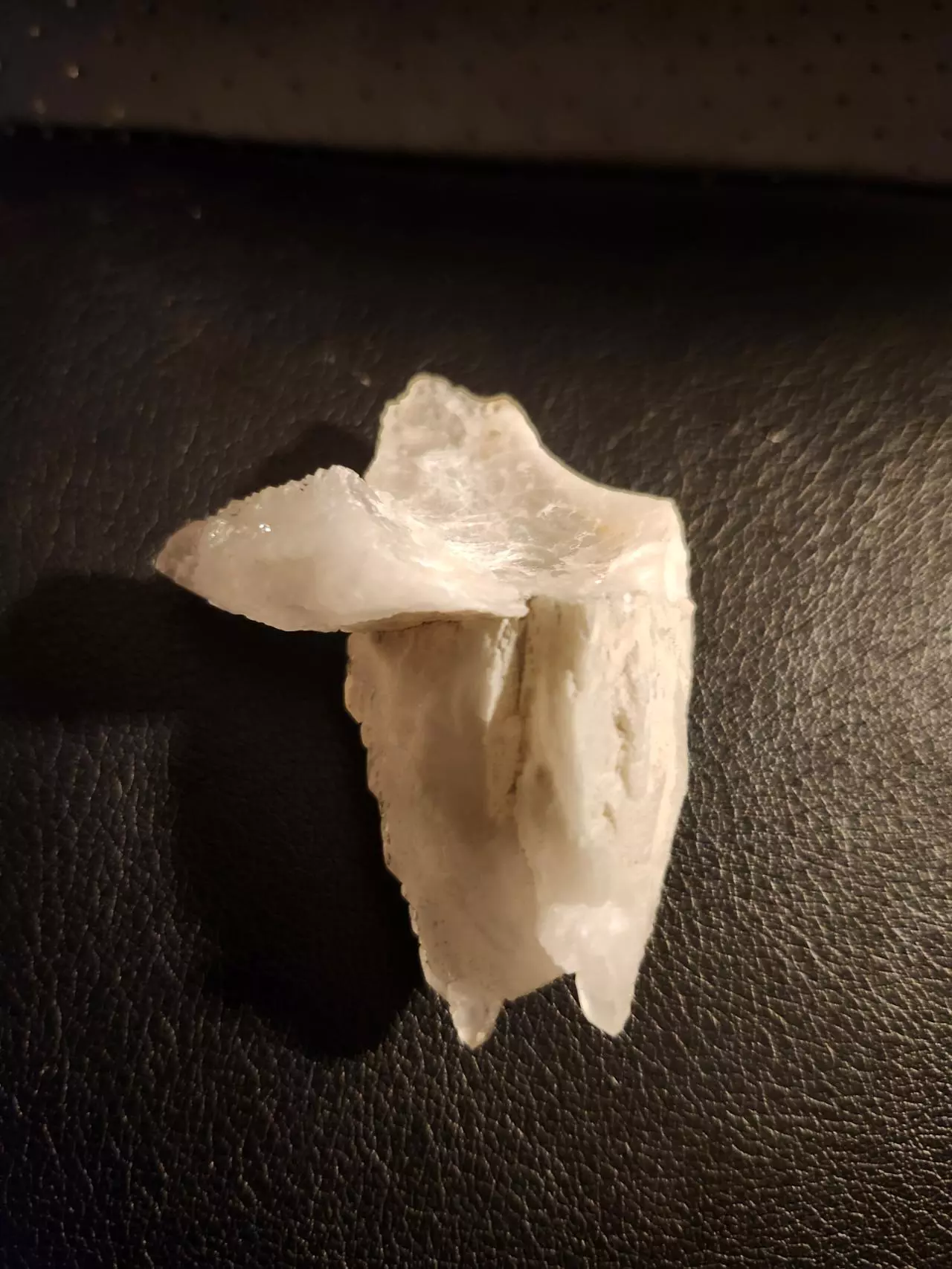 plant/🔮Calcite Specimen🔮-1