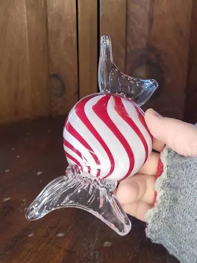 plant/Glass Candy-6-thumbnail