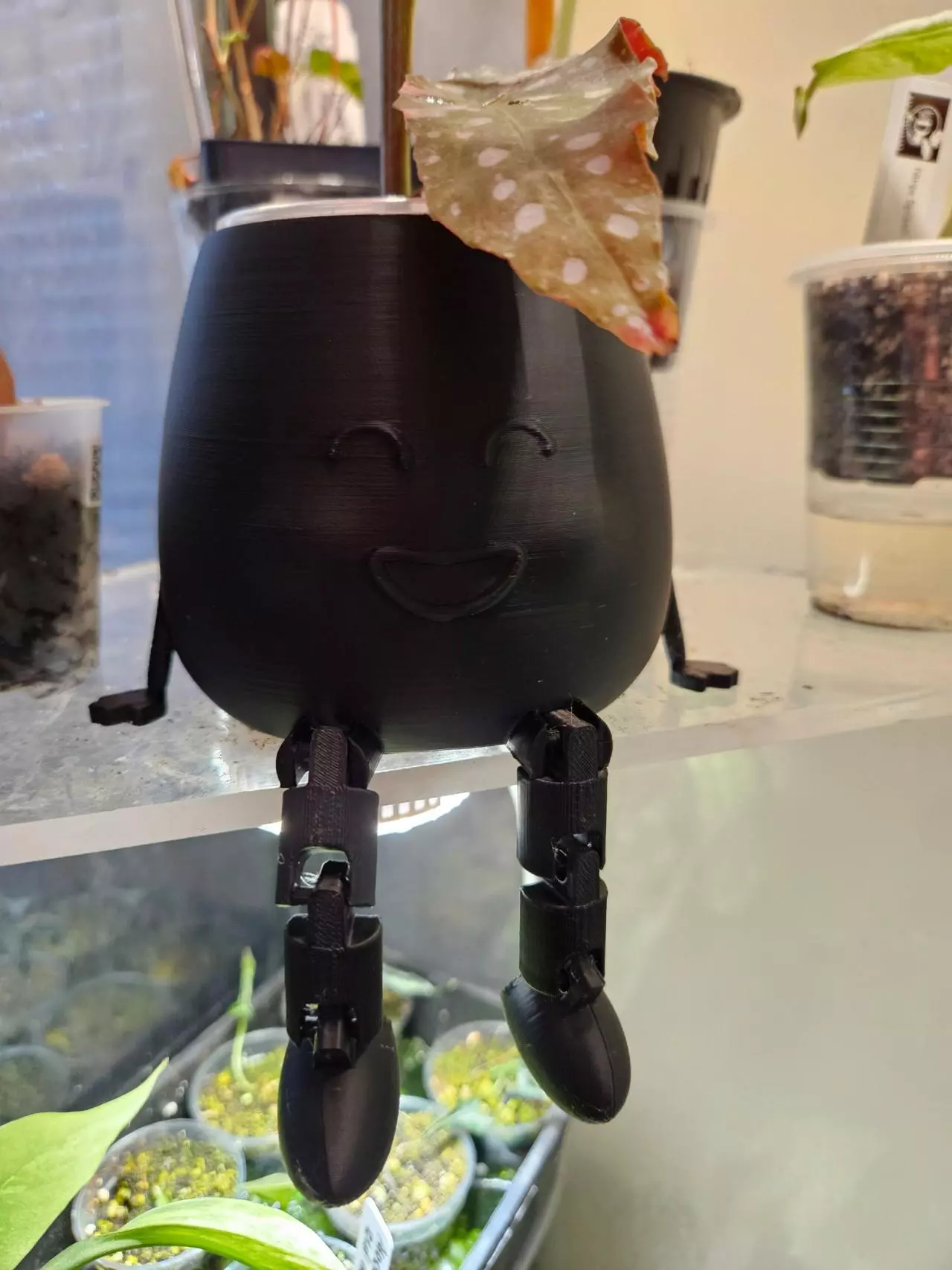 plant/3" cache pot buddy 3D print color black-1