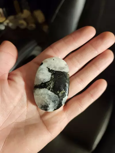 plant/🔮Rainbow Moonstone Palm🔮-1-thumbnail