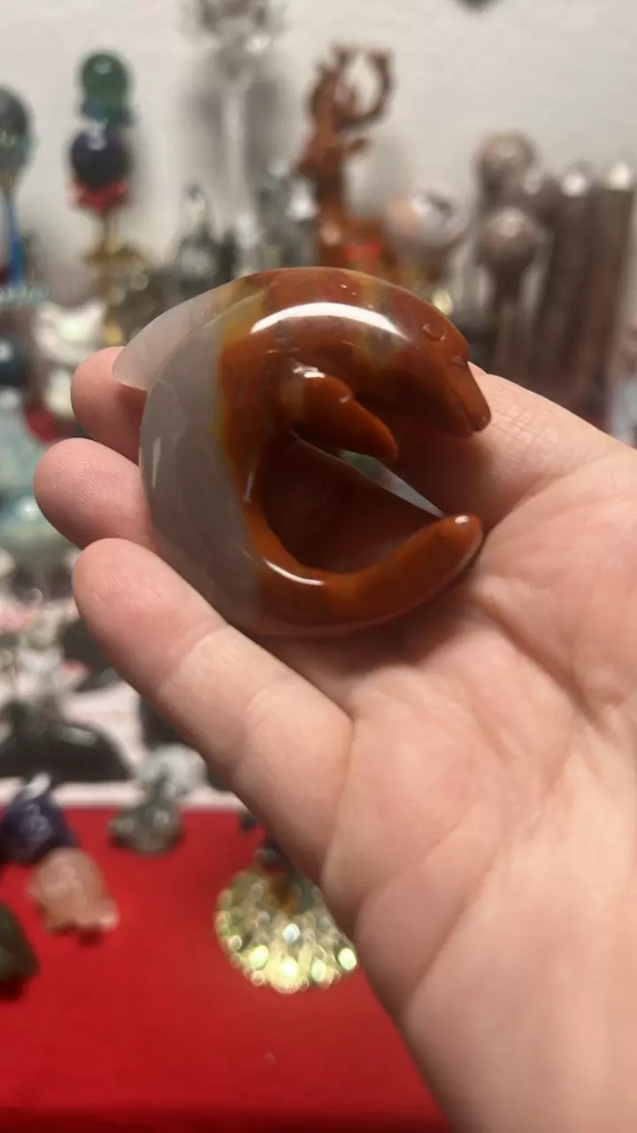 plant/$16| Carnelian Dolphin-0