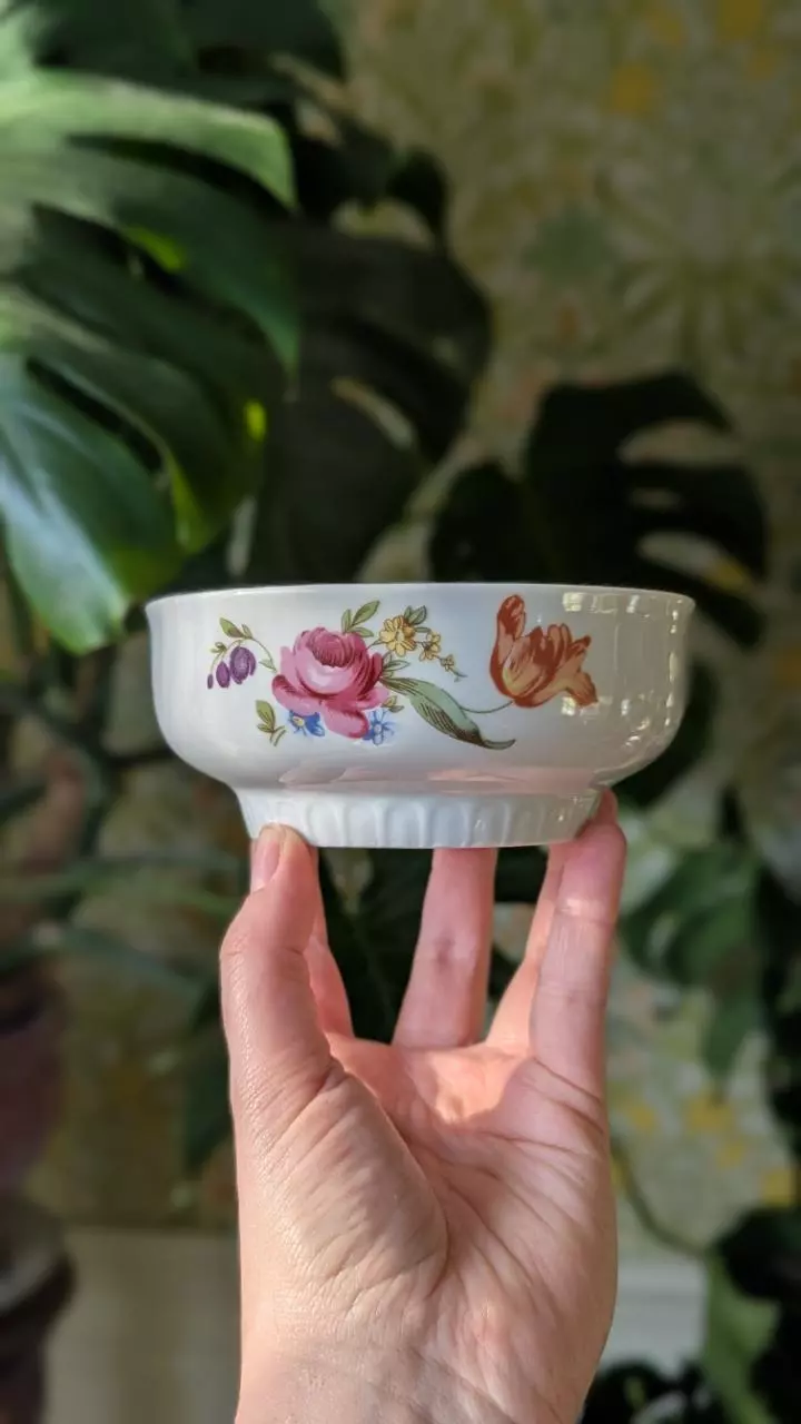 plant/Set of 5 vintage porcelain bowls with gold leaf (was $25)-0