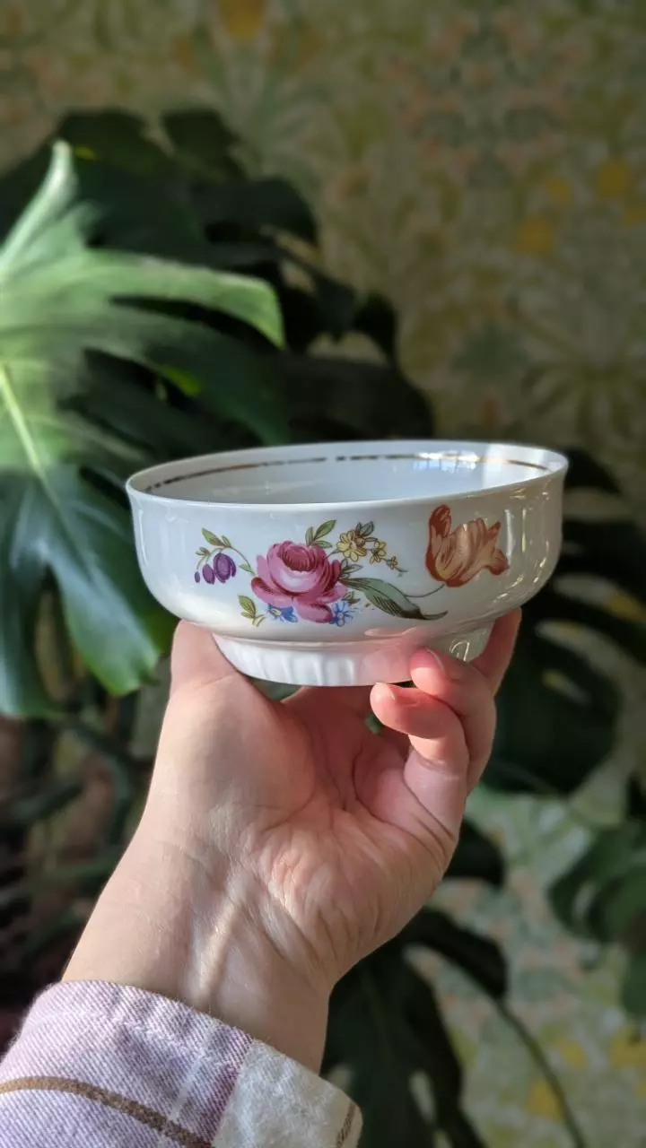 plant/Set of 5 vintage porcelain bowls with gold leaf (was $25)-1
