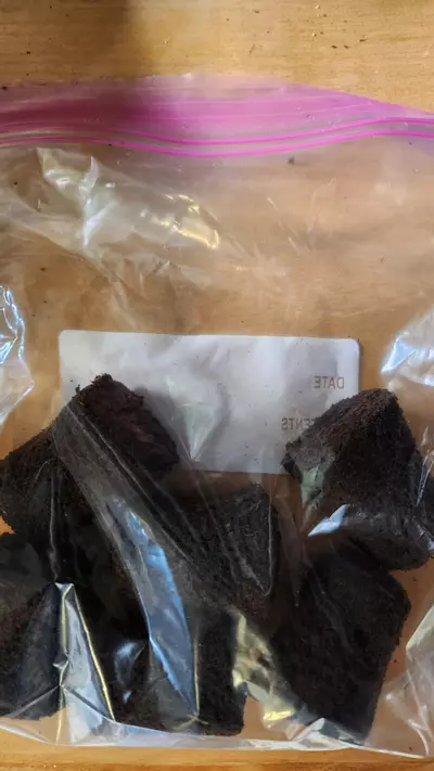 plant/6 Brownie Plugs with Nutrient Solution-0-thumbnail