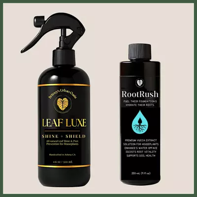 plant/Glow & Grow Plant Care Bundle | Leaf Luxe 16 oz & RootRush 8 oz Houseplant Fertilizer for Healthy Roots & Glowing Leaves-0-thumbnail