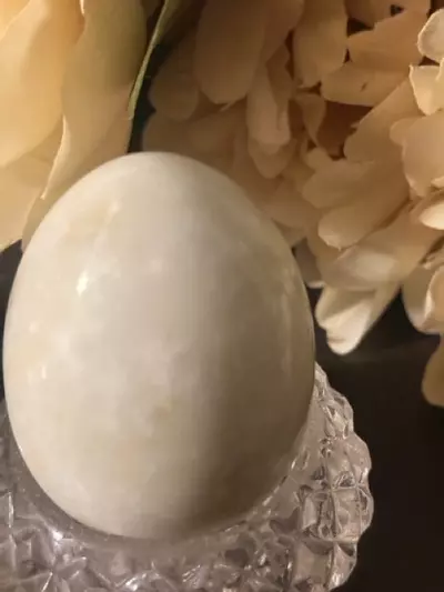 plant/alabaster egg -0-thumbnail