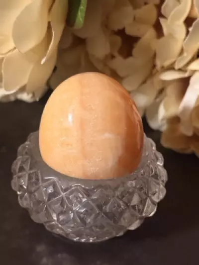 plant/Orange Cream Alabaster Egg-0-thumbnail