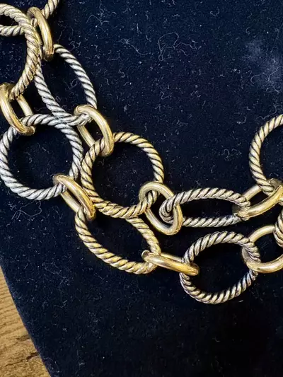 plant/Kiam Family Two-Tone Chain Link Necklace-1-thumbnail