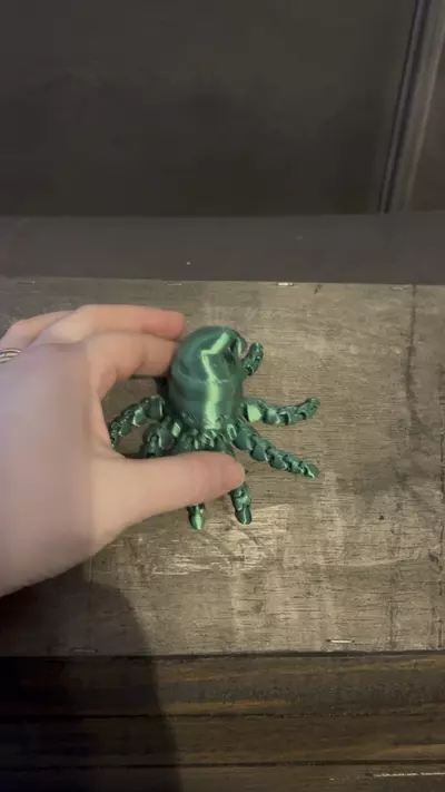 plant/3D Printed Green Santa Octopus Fidget Toy-1-thumbnail