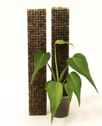 plant/Climber’s Kickstart Kit — 24" Plant Pole + PhytoThrive Aroid Mix + Grafting Tape-0-thumbnail