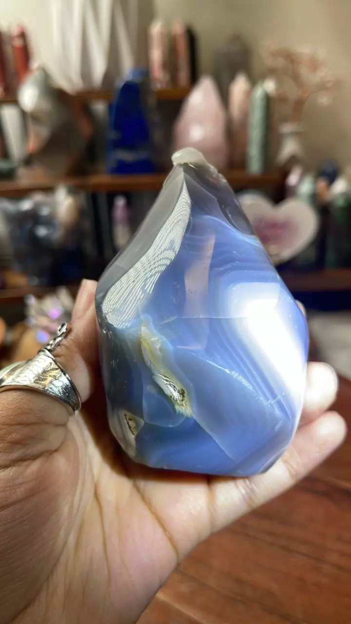 plant/Orca Agate Flame (32% off)-1