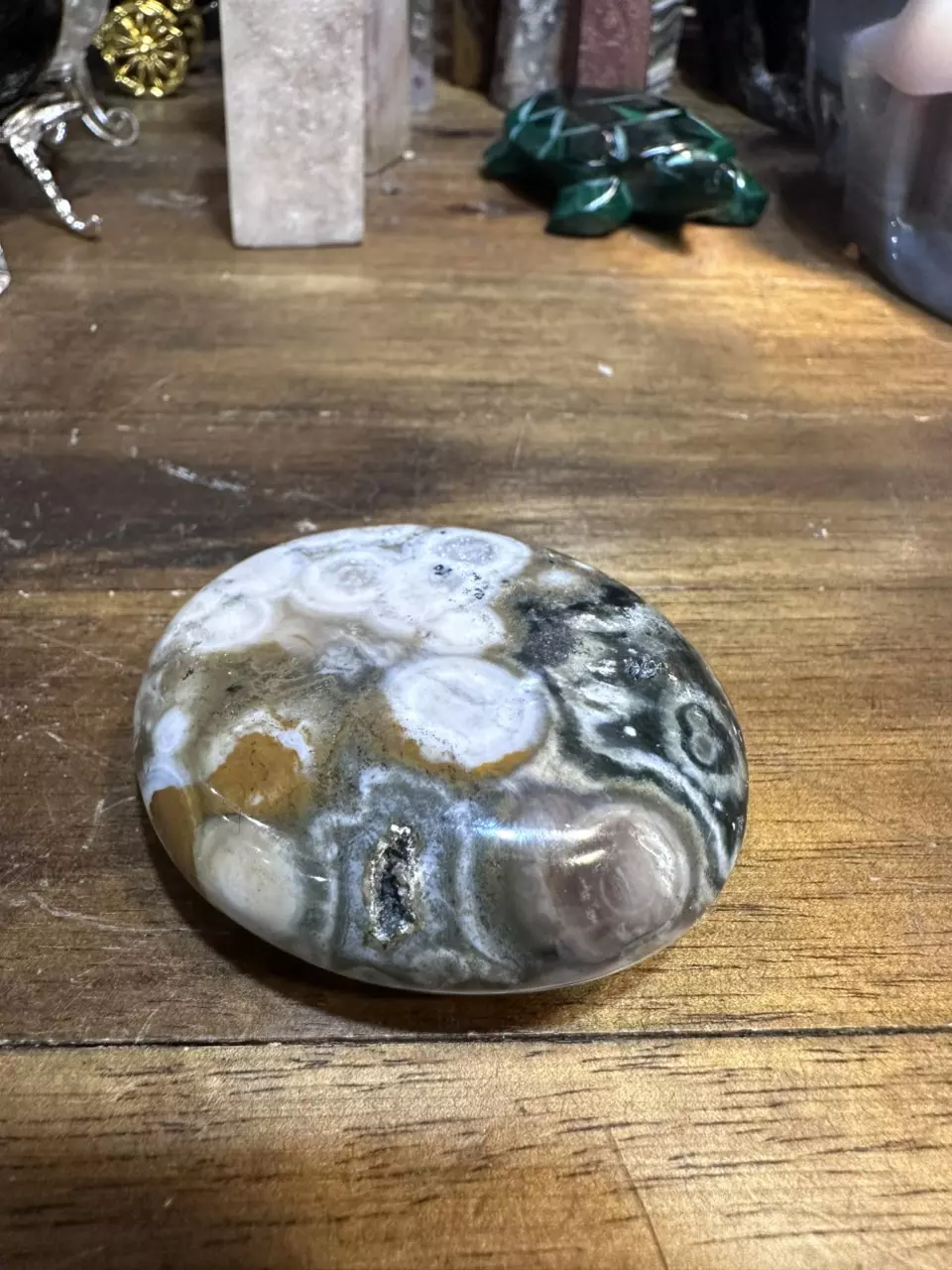 plant/2.25 inch Ocean Jasper Palm Stone-1
