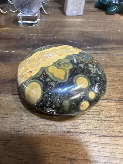 plant/2.4 inch ocean jasper palmstone-0-thumbnail