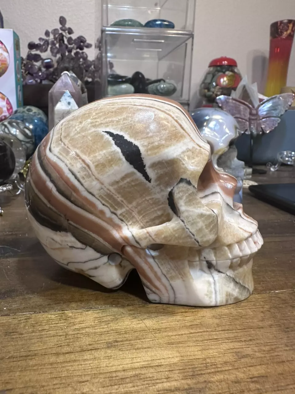 plant/5.27 inch Eastern Jasper skull-0