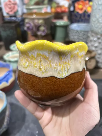 plant/#313 Flow glaze  pot-0-thumbnail
