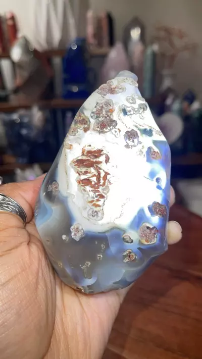 plant/Orca Agate Flame (32% off)-0-thumbnail