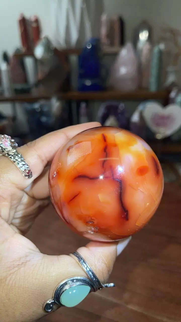 plant/Carnelian Sphere (32% off)-0