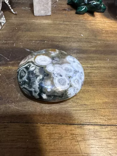 plant/2.25 inch Ocean Jasper Palm Stone-0-thumbnail