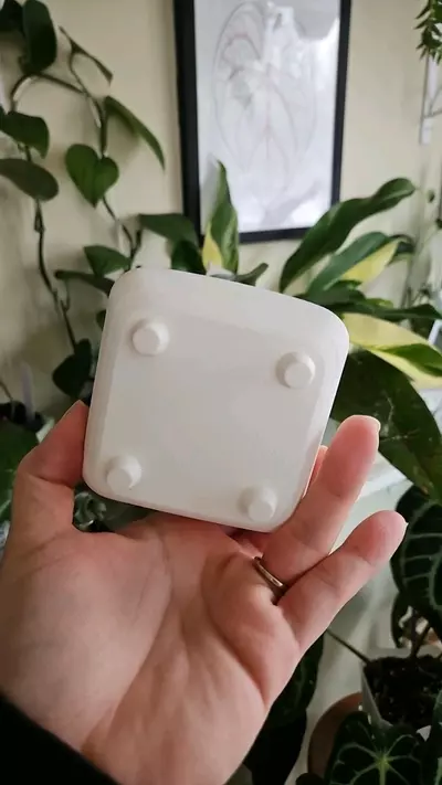 plant/3" cache pot 3D print in white-1-thumbnail