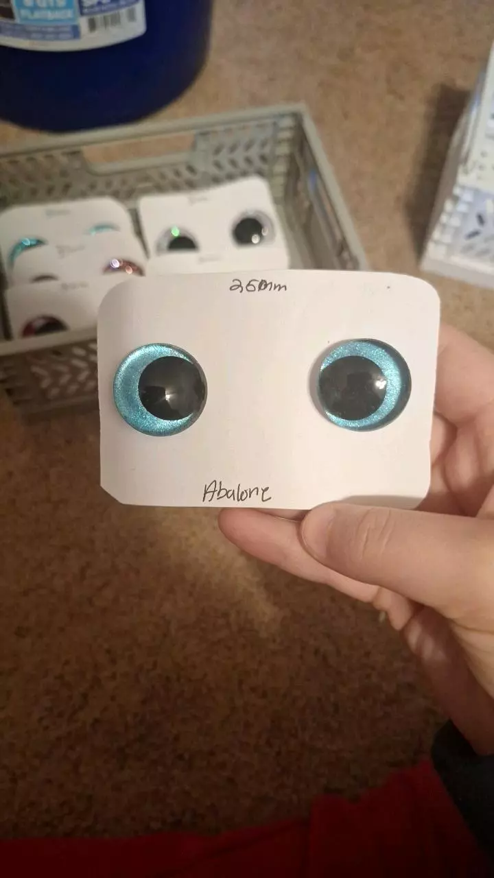 plant/Abalone 25mm-0