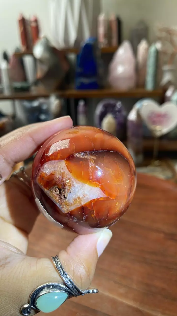 plant/Carnelian Sphere (32% off)-1
