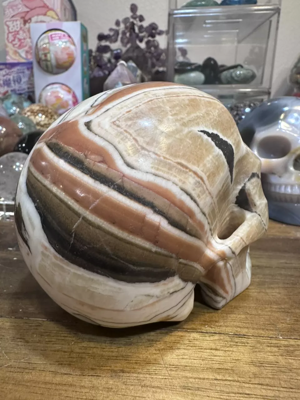 plant/5.27 inch Eastern Jasper skull-1