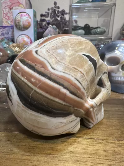 plant/5.27 inch Eastern Jasper skull-1-thumbnail