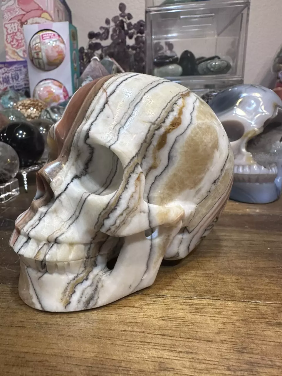 plant/5.27 inch Eastern Jasper skull-3