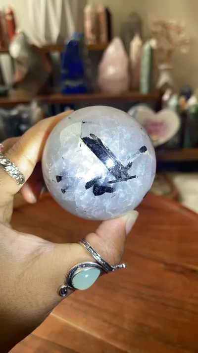 plant/Quartz Tourmaline (32% off)-1-thumbnail