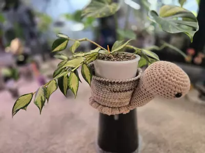 plant/Ms. Snail pot holder/storage-3-thumbnail