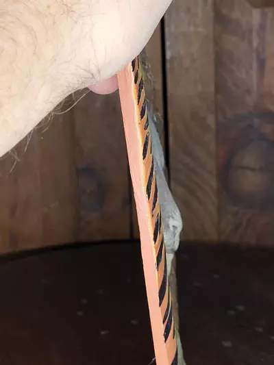 plant/Lion Tile-6-thumbnail