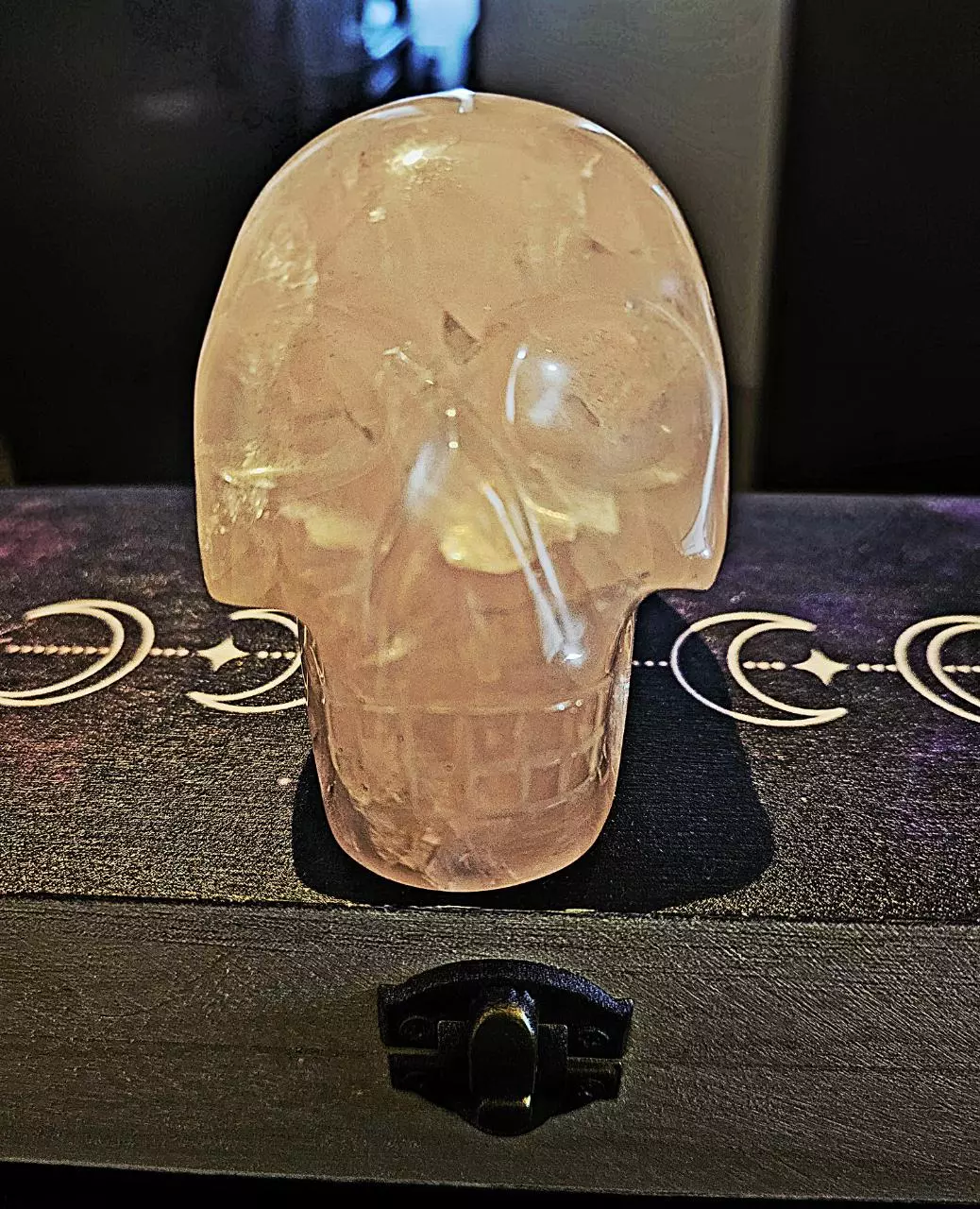 plant/Rose Quartz Skull-0