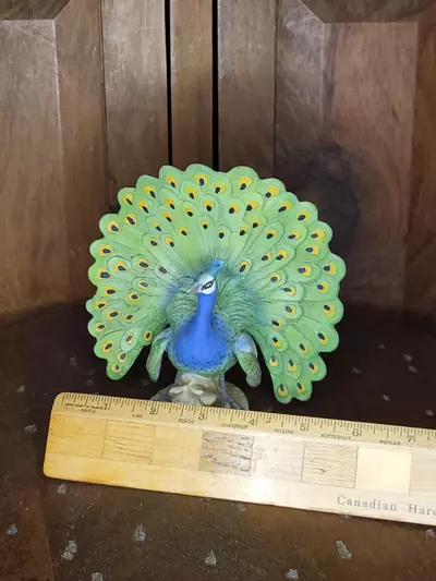 plant/Vintage Peacock-3-thumbnail