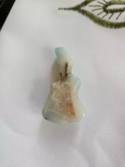 plant/Rockstar Rocks-2-thumbnail