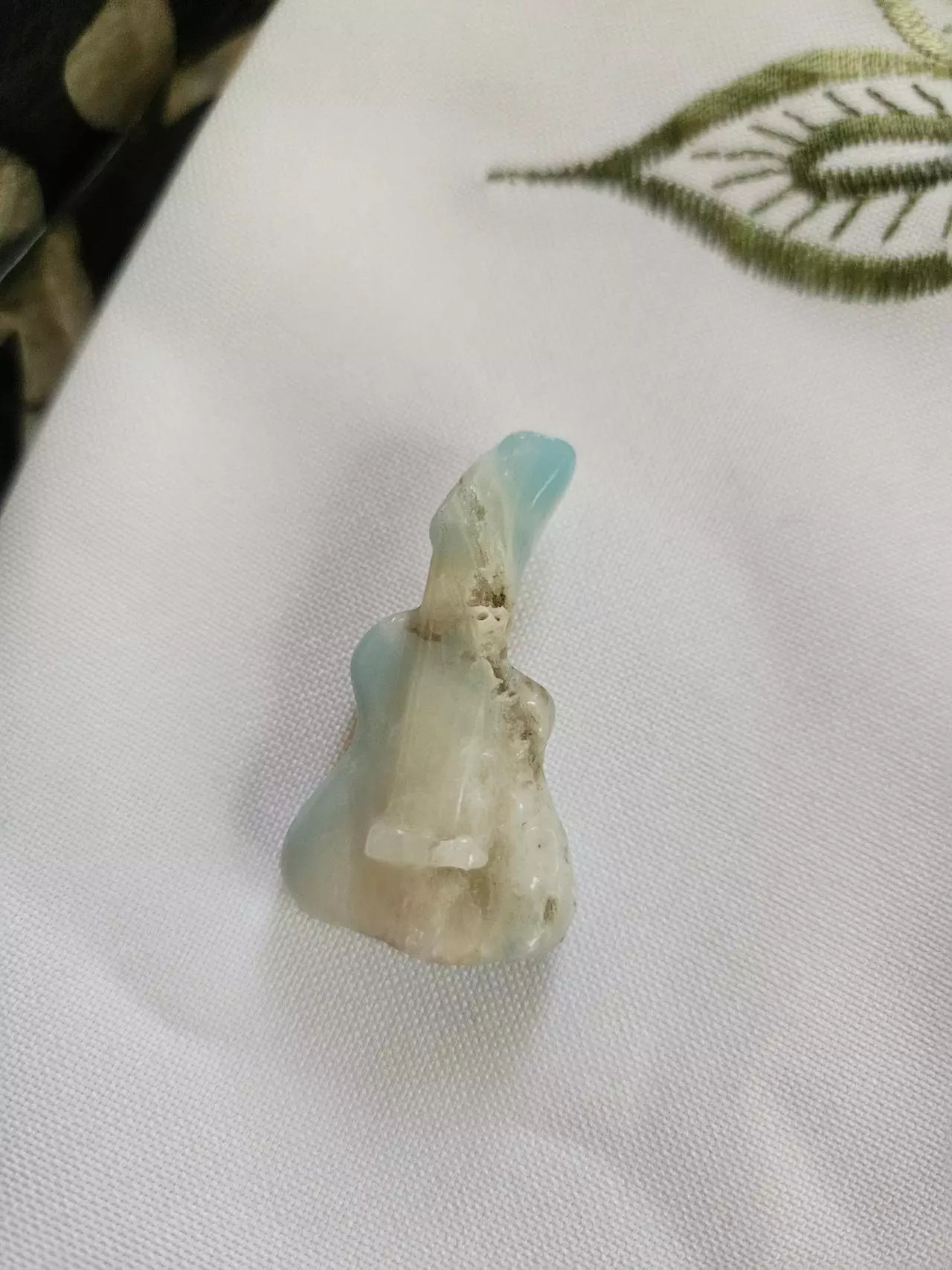 plant/Rockstar Rocks-3