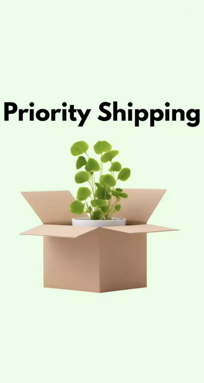plant/Priority Shipping Upgrade = + $25 ontop of regular shipping charge.-0