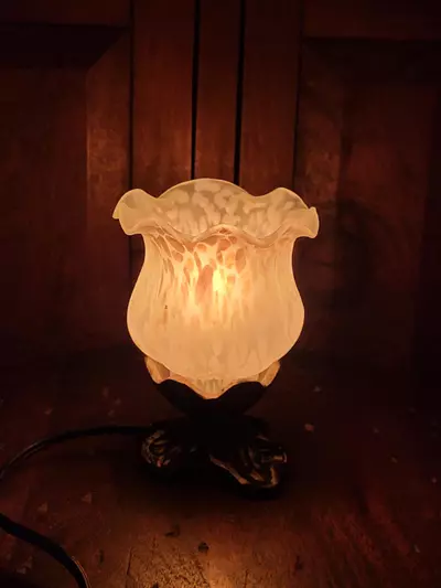 plant/Glass Tulip Lamp-3-thumbnail