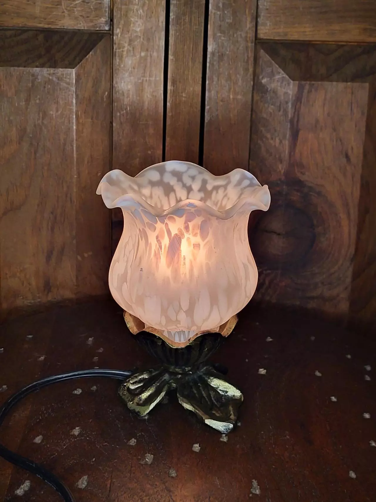 plant/Glass Tulip Lamp-8