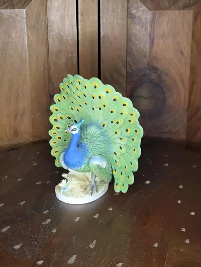 plant/Vintage Peacock-2-thumbnail