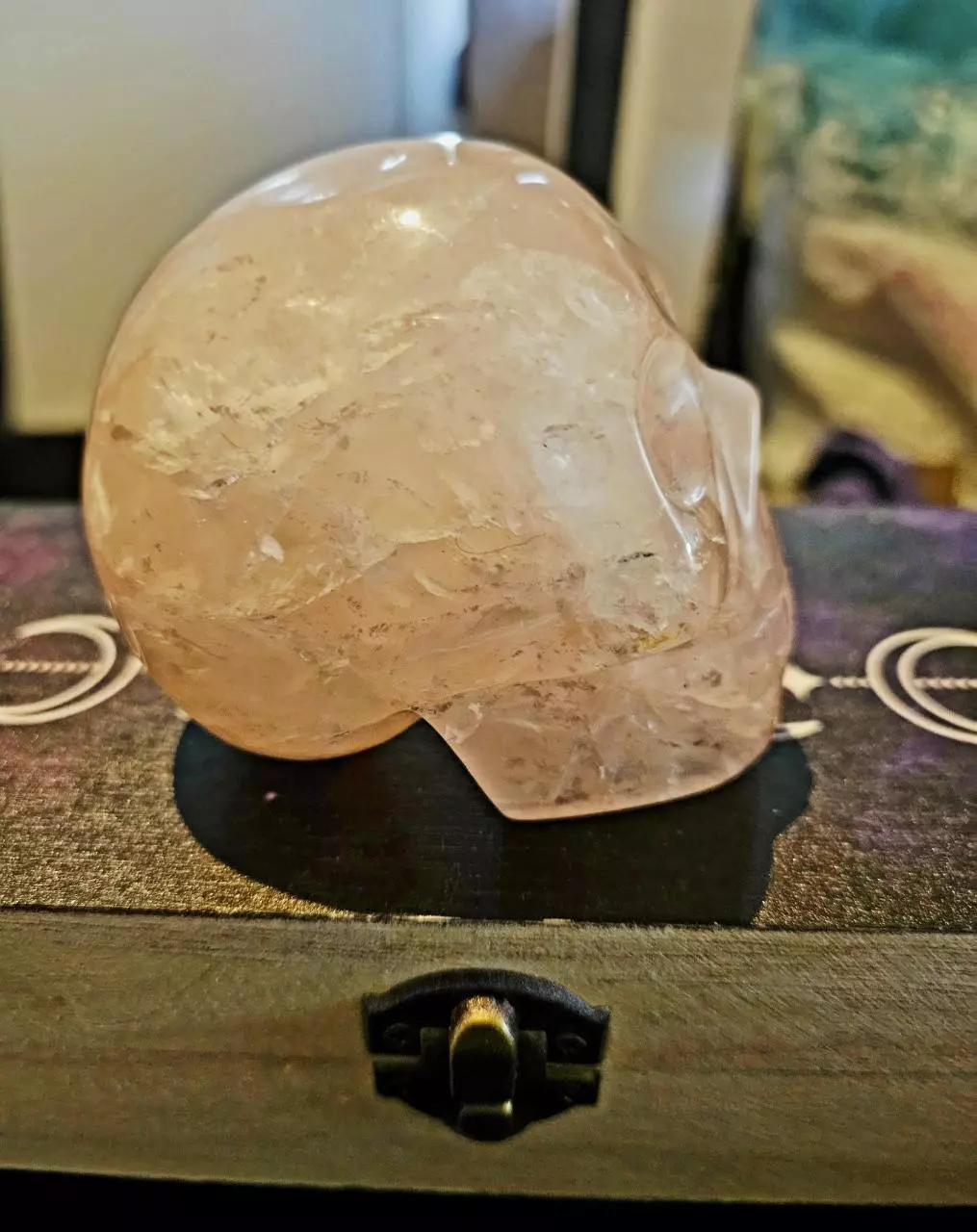 plant/Rose Quartz Skull-1