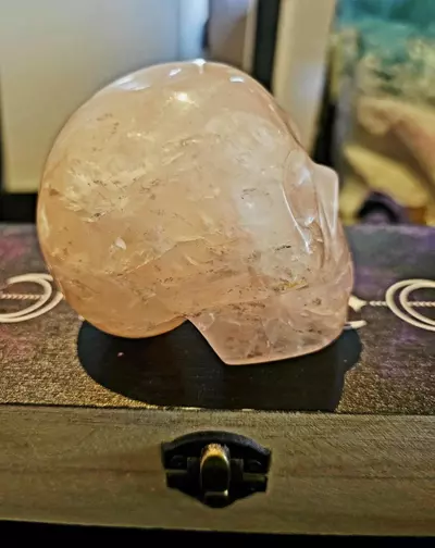 plant/Rose Quartz Skull-1-thumbnail