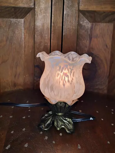 plant/Glass Tulip Lamp-5-thumbnail