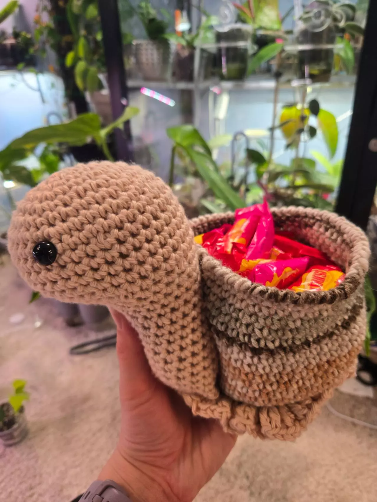 plant/Ms. Snail pot holder/storage-4