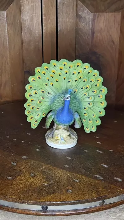 plant/Vintage Peacock-0-thumbnail