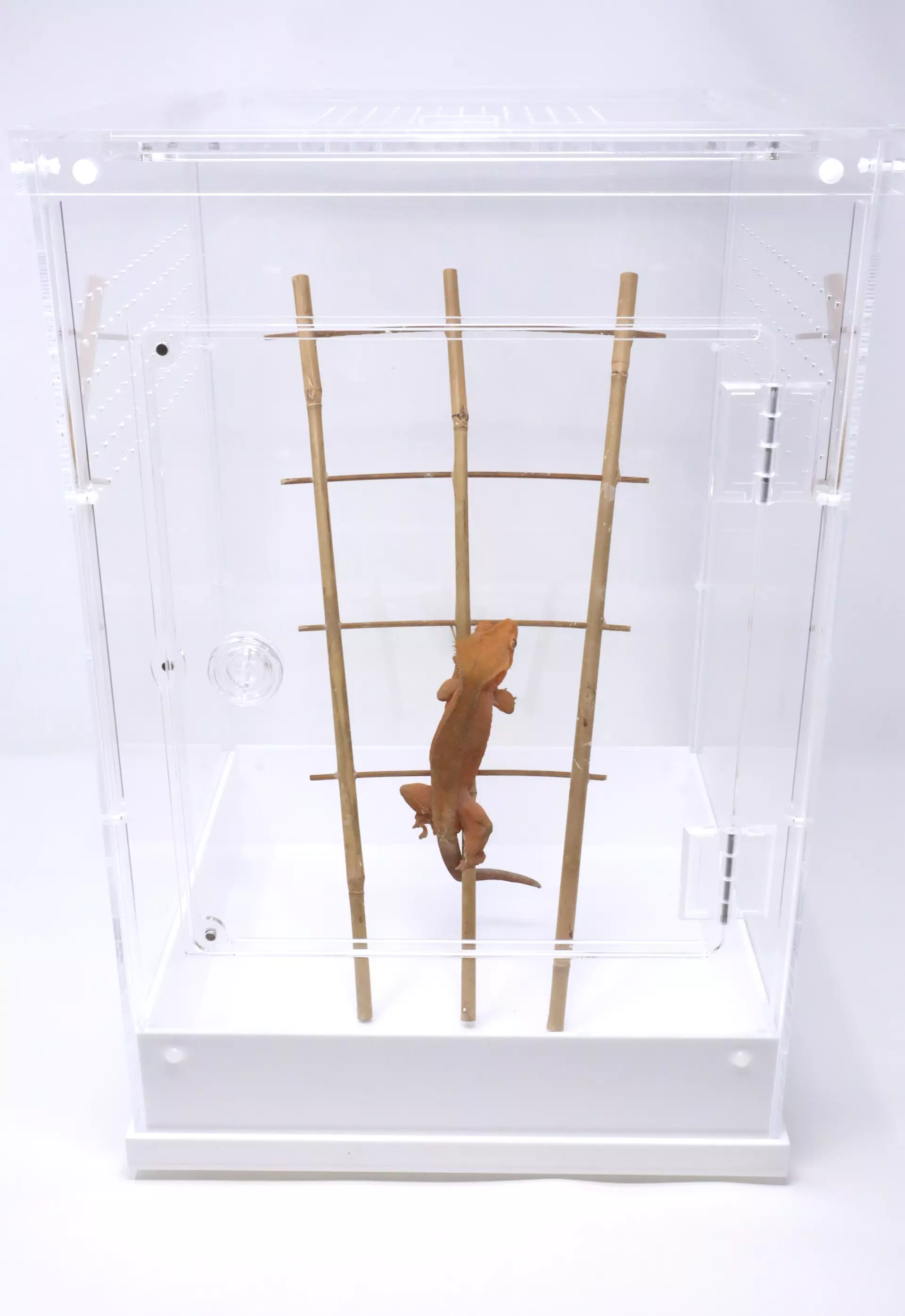 plant/Acrylic Terrarium 12" x 12" x 18" H-1