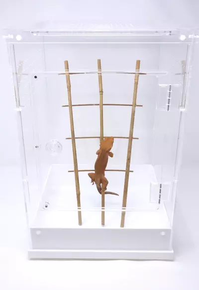 plant/Acrylic Terrarium 12" x 12" x 18" H-1-thumbnail